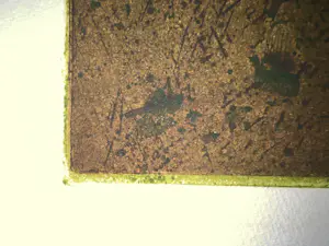 Arthur Stam - Volkstuin kopen? Bied vanaf 75!