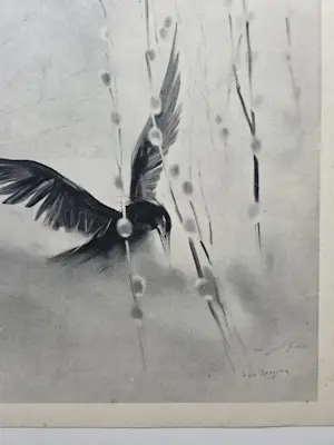 Han van Meegeren - Aalscholver. Zwarte vogel. kopen? Bied vanaf 59!