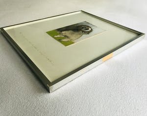 Ans Wortel - De enige zon die ik heb is mijn hoofd kopen? Bied vanaf 125!