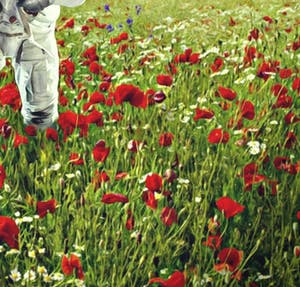 Mr. Strange - Champs de Fleurs sur la planète Terre kopen? Bied vanaf 50!
