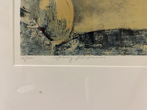 Toon Kuijpers - “Springflower” kopen? Bied vanaf 10!