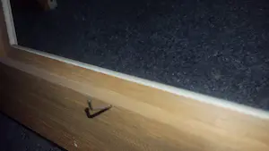 Jan Kelderman - De schelpen visser kopen? Bied vanaf 40!