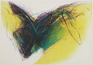 Carmi Butteling - Hans Vredegoor, Lot van twee stuks grafiek kopen? Bied vanaf 1!