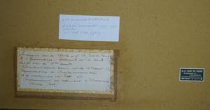 Arend Hendriks - kerkinterieur St. Jacobskerk den Haag kopen? Bied vanaf 20!