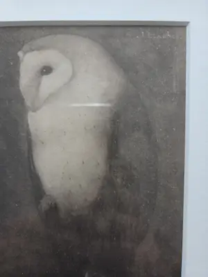 Jan Mankes - Uil op boomtak. Werk uit 1913. kopen? Bied vanaf 99!