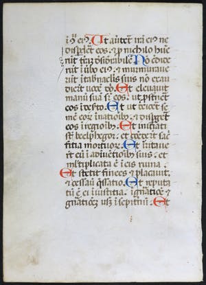 Curiosa - Geïllumineerde tekst op perkament uit een getijdenboek kopen? Bied vanaf 1!