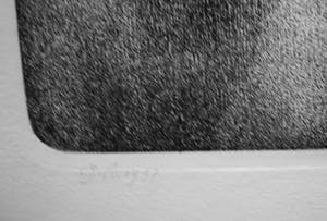 Gerard van Rooy - Tooi (vlg. van Dale: opschik, versiering) kopen? Bied vanaf 50!