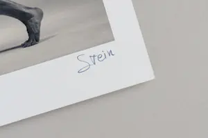 Vadim Stein - 'Octopean' (2013) kopen? Bied vanaf 110!