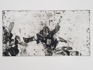 Jan Prins - Prachtige Ets - Gesigneerd in potlood kopen? Bied vanaf 1!