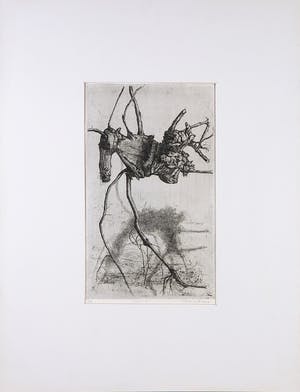 Pauline Braat - Ets, Stronk II kopen? Bied vanaf 35!