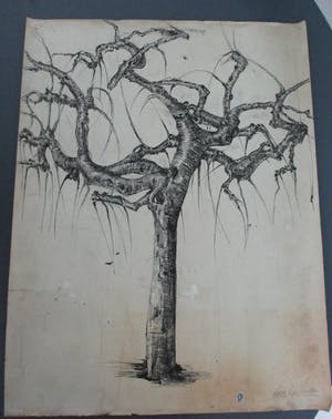 Frits van der Zander - Boomstudie kopen? Bied vanaf 15!