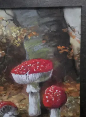 Henriette Hubregtse-Lanzing - Paddestoelen. Vliegenzwammen. kopen? Bied vanaf 89!