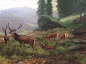 August Motsch - Düsseldorf 1869-1952 kopen? Bied vanaf 200!