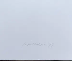 Joost Baljeu - Inner Dimensions, zeefdruk (groot) kopen? Bied vanaf 150!