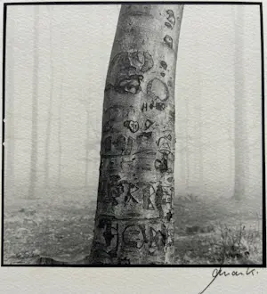 Ralph Janowski - 2x zeefdruk kopen? Bied vanaf 32!