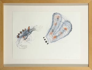 Anutosh - Pastelkrijt en potlood, De Vrijduiker - Ingelijst kopen? Bied vanaf 1!