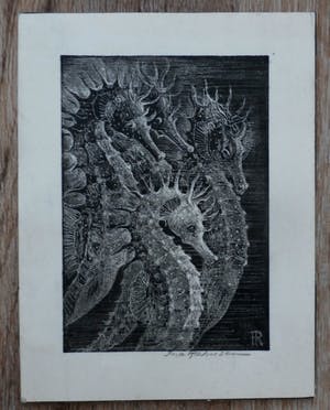 Ina Rahusen - Litho: Zeepaardjes kopen? Bied vanaf 35!
