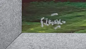 Franklin Meijer - Waddenkust kopen? Bied vanaf 20!