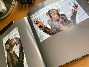 Willem Verburg - Bananas kopen? Bied vanaf 250!