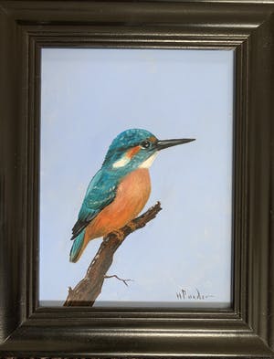 Henk Poeder - Ijsvogel kopen? Bied vanaf 89!