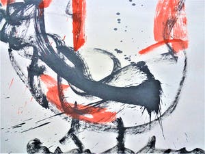 Anton Heyboer - De oer vogel . kopen? Bied vanaf 200!