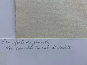 Pierre Auguste Renoir - Femme Nue Couchee kopen? Bied vanaf 399!
