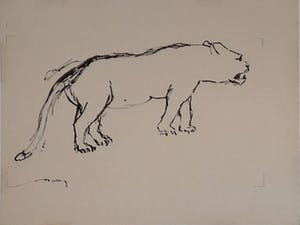 Wim Motz - 4 tekeningen van leeuwen/leeuwinnen kopen? Bied vanaf 45!