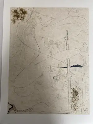 Salvador Dali - 12 stuks litho Venus aux Fourrures kopen? Bied vanaf 185!