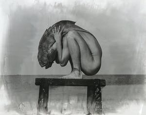 Sebastiaan Holzhuber - Foto, Broers kopen? Bied vanaf 20!