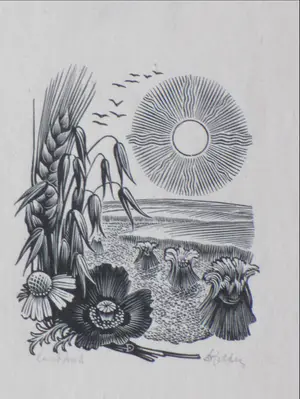 Dirk van Gelder - Zomer - Gravure kaufen? Bieten Sie von 1!