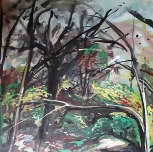 Antoine van der Pas - Z.T. Boslandschap, groot kopen? Bied vanaf 10!