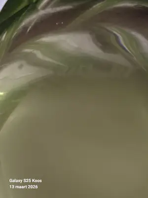 Val-Saint-Lambert - torsade kopen? Bied vanaf 40!