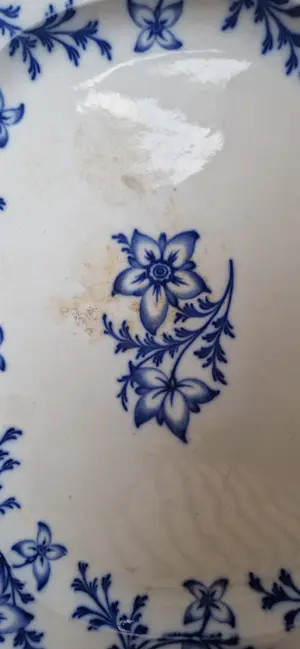 Minton & Co - Anemone kopen? Bied vanaf 150!