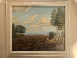 Sam Schellink - Landschap kopen? Bied vanaf 100!