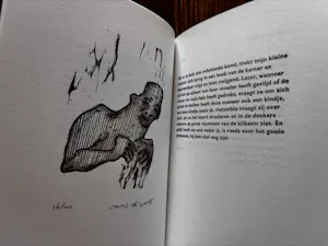 Johan de Zoete - twee boeken kopen? Bied vanaf 50!