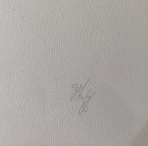 Peter Vos - Vreemde vogels met kat op de loer. kopen? Bied vanaf 55!