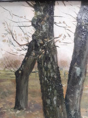 Lievin Baert - Belgisch landschap. kopen? Bied vanaf 39!