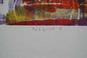 Lia van Leeuwen - Labyrint II kopen? Bied vanaf 25!