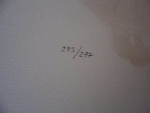 Leonor Fini - Lithografie, "Portrait de Femme 1 kopen? Bied vanaf 10!