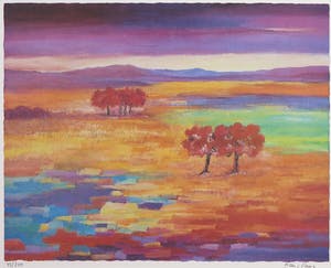 Hans Paus - Zeefdruk, Landschap kopen? Bied vanaf 1!