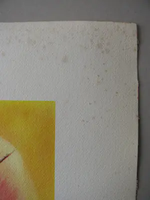 Salvador Dali - BIBLIA SACRA GLORIA VULTUS MOYSI 1964 kopen? Bied vanaf 300!
