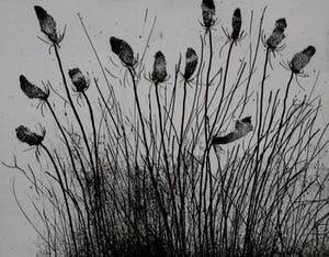 Lukie de Bree - Ets - 1983 kopen? Bied vanaf 49!