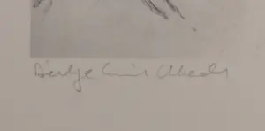 Dirkje Kuik - Litho, Cornelia, het meisje uit de ABC straat kopen? Bied vanaf 10!