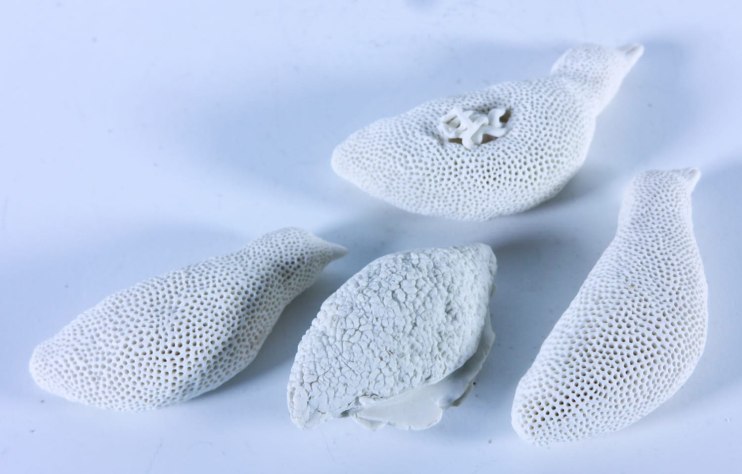 Kathja Smits - Porselein, Vogeltjes kopen? Bied vanaf 100!