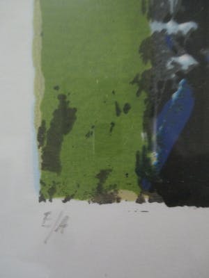 Carlos Blaaker - Grote ingelijste zeefdruk perfect ingelijst kopen? Bied vanaf 70!