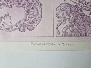 Ab Steenvoorden - Grote kleuren Ets "beeldverhaal van Albrecht Dürer" - beperkte oplage (100) kopen? Bied vanaf 28!