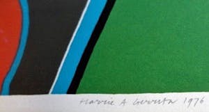 Harrie Gerritz - Verdwaalde Vogel (kijkt door tralies naar het landschap) - Ingelijst kopen? Bied vanaf 49!