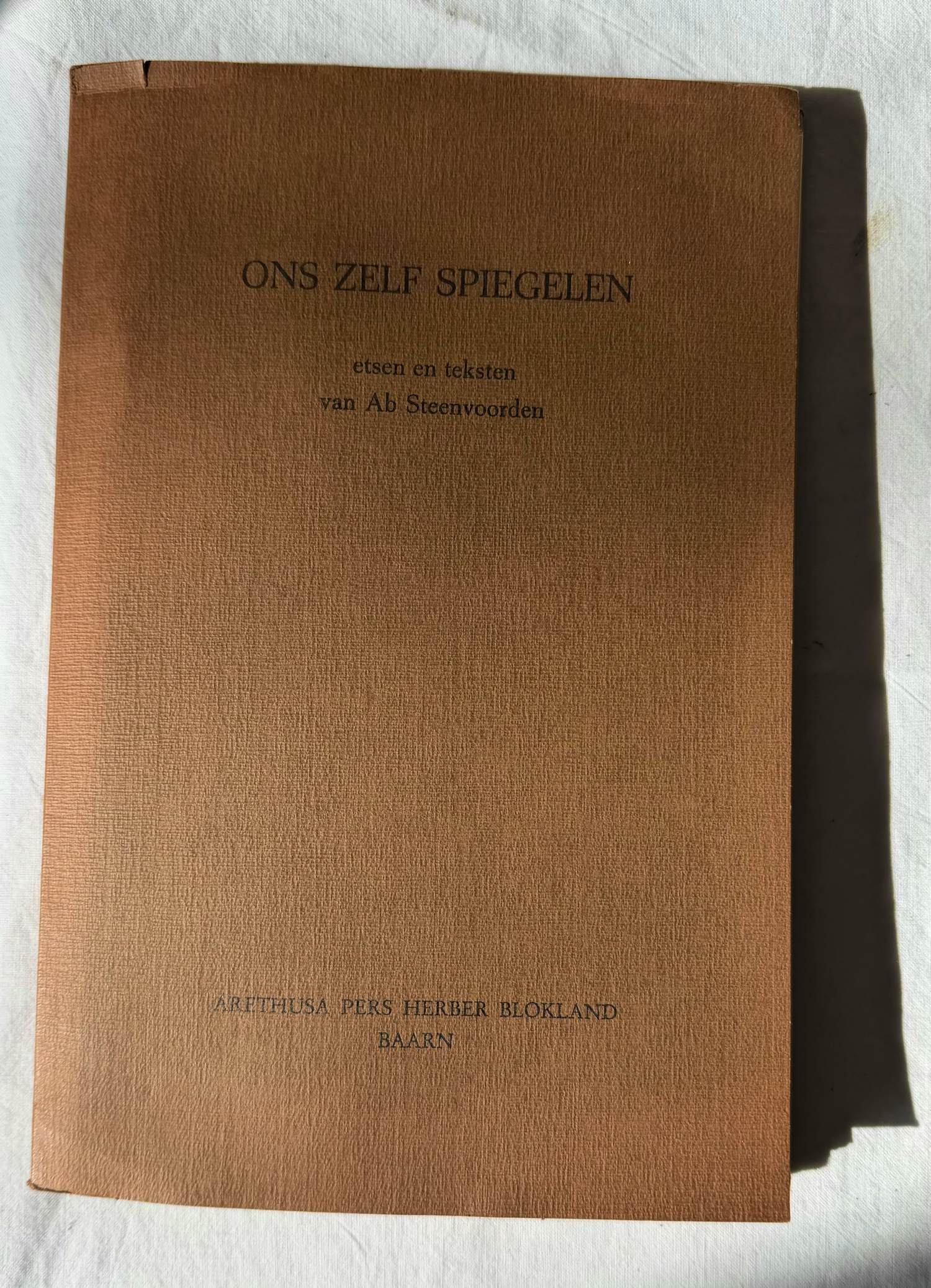 Ab Steenvoorden - Ons zelf spiegelen kopen? Bied vanaf 67!