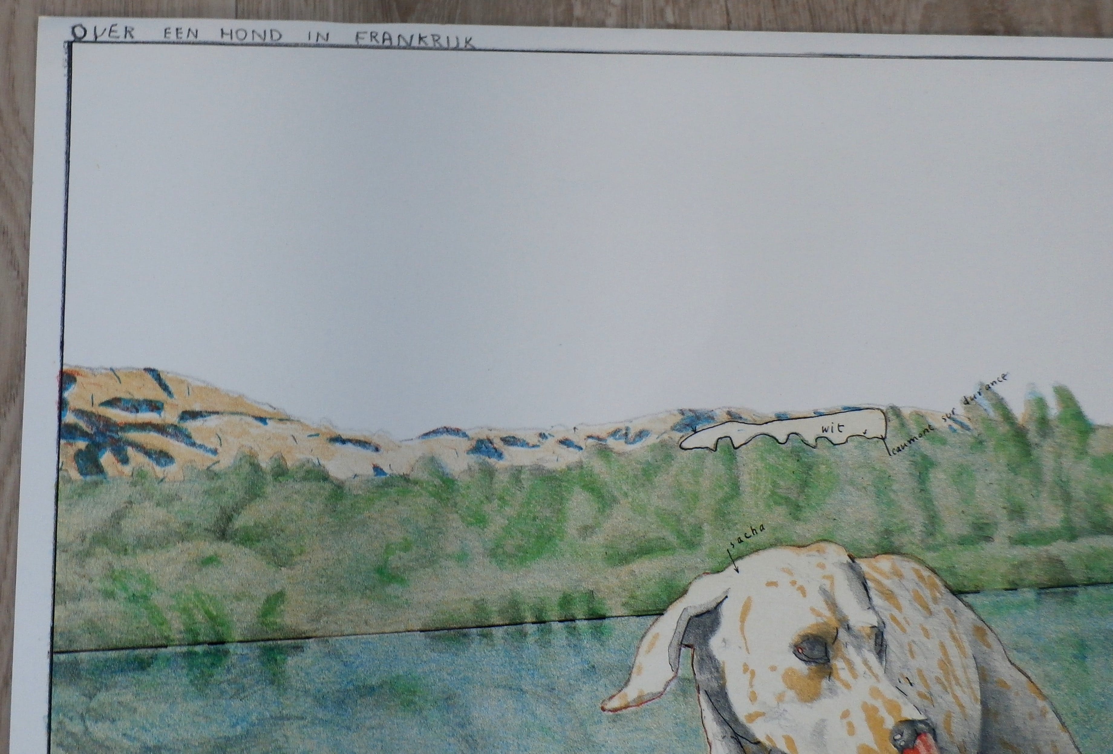 Pat Andrea - Litho: Over een hond in Frankrijk  kopen? Bied vanaf 100!