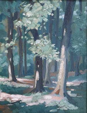 Jef van Jole - Bosgezicht kopen? Bied vanaf 180!